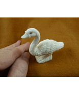 (DUCK-W3) little Duck duckling shed ANTLER figurine Bali detailed carvin... - £50.80 GBP