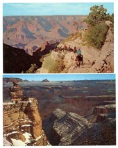 2 Postcards Grand Canyon NP Arizona Mule Train Petley Studios Unposted - $4.00