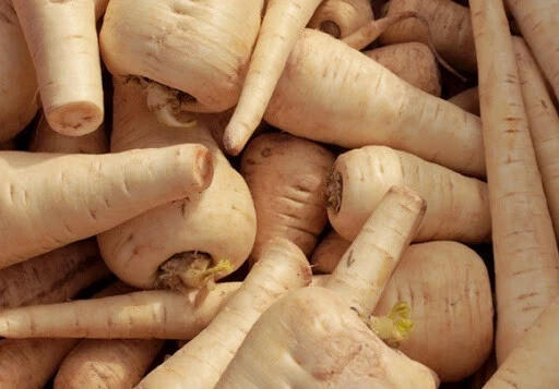 Fragrant 200 Parsnip Seeds All American Parsnip Seeds(Pastinaca sativa) - $3.02