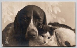 RPPC Darling Puppy And Kitten Portrait By EAS Dog Cat Real Photo Postcard S27 - £15.69 GBP