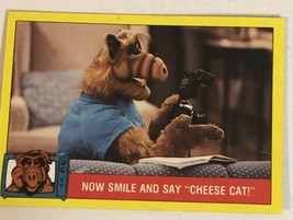 Alf Series 1 Trading Card Vintage #13 - £1.52 GBP