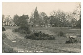 rp16329 - Chorley Wood Common , Hertfordshire - print 6x4 - $2.80