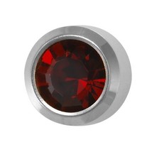 Select Stainless Regular Birthstone Jan - $9.99