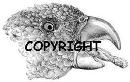 An item in the Crafts category: PARROT FACE NEW mounted rubber stamp by ASM