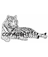 WHITE BENGAL TIGER FULLVIEW new mounted rubber stamp - €6,96 EUR