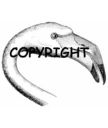 FLAMINGO FACE new mounted rubber stamp - €5,66 EUR