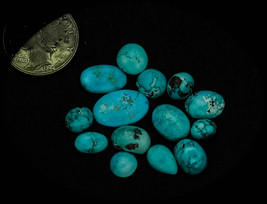 15.0 cwt. Vintage Persian Assorted Lot of 14 Turquoise Cabochons - £63.93 GBP