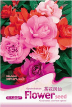 1 Original Pack, 20 seeds / pack, Mix Garden Balsam Impatiens Balsamina Flowers  - £2.78 GBP