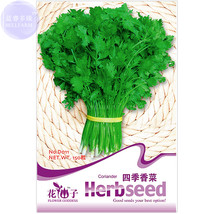 Coriander Heirloom Chinese Parsley Seeds, 150 Seeds, Original pack, tasty cilant - £6.07 GBP