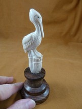 Pel-1) Pelican sitting birds shed ANTLER figurine Bali detailed carving ... - $73.63