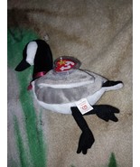1998 Ty Beanie Baby Loosy the goose Retired with Errors - £43.33 GBP