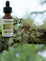 Usnea Tincture - The Miracle Lichen - £10.58 GBP