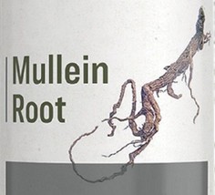 MULLEIN ROOT - Healthy Urinary Tract Support Diuretic Herb Extract Tinct... - $25.97+