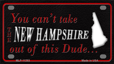 New Hampshire Dude Novelty Mini Metal License Plate Tag - $14.95
