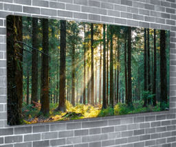 Natural Light Canvas Print Beautiful Forest Wall Art 55x24Inch Ready To ... - £70.17 GBP