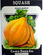 Squash Boston Marrow Card Seed Co EMPTY Pack 1920's Fredonia NY Super Gr... - $10.93