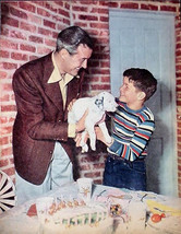 RAY MILLAND RARE 1949 PIN-UP MOVIE STAR POSTER AD CUTE PHOTO GIVING PUPP... - $4.99