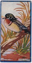 Cowan Co Toronto Card Bird Wood Duck - $9.89