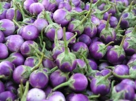 100 Seeds Organic Thai Small White Purple Eggplant Mauve Purple Gardening USA SE - $13.30