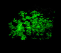 #3651 Fluorescent Mineral - Franklin New Jersey  - $20.00