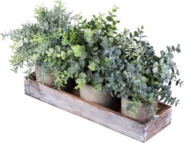 Set Of 3 Mini Potted Artificial Eucalyptus Plants Faux Rosemary, 8.7&quot; Tall. - £27.51 GBP