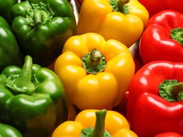 Assorted Bell Pepper Seeds Organic Pepper Seeds Seeds Peppers At Home Fr... - $55.54 MXN