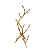 BNIB Summer and Rose Brass Plated Willow Jewelry Display Tree Organizer - £16.32 GBP