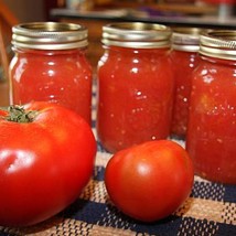 Rutgers Tomato Seeds Friendly Great For Canning Determinate Organic Gardening Fr - $24.80