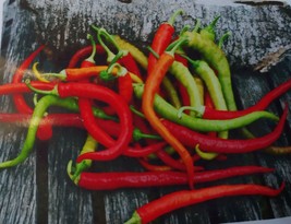 10 Turkish Corbaci Sweet Pepper Seed Yummy USA Fast Shipping - $15.90