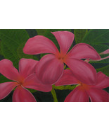 Frangipani Oil Painting, Plumeria Painting, &quot;Pink Plumerias&quot; (24&quot; x 36&quot;) - £275.32 GBP