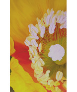 Original Oil Painting, Poppy, Yellow, Flower, Amapola - &quot;Amapola Amarilla&quot; - £471.97 GBP