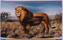 27.25&quot; X 44&quot; Panel Lion Animal Wild Kingdom Scenic Digital Cotton Fabric D371.35 - £9.65 GBP