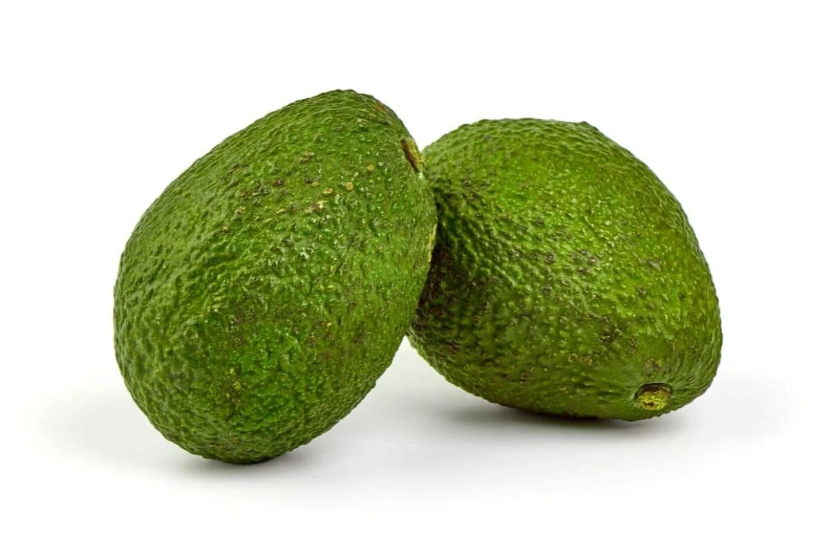 2 Seeds Monroe Avocado Organic Non Gmo Delicious Creamy easy to Grow Fruit - $25.98