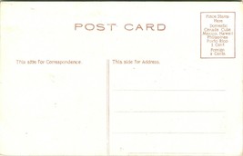 Vtg Carte Postale C.1909 Conservatoire, Bronx Park New York - non Utilisé - £3.79 GBP