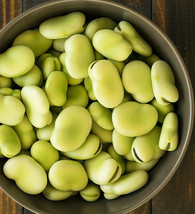 Aquadulce Fava Bean Broad Windsor Faba Beans Lima Vegetable Seed - £8.21 GBP