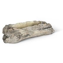 Driftwood Look Log Planters Set of 2 Cement 12" & 11" Long Gray Waterproof image 7