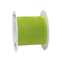 C.E. Pattberg Prsent 72 mm 25 m Organza Ribbon Sheer, Lime Green  - $19.00