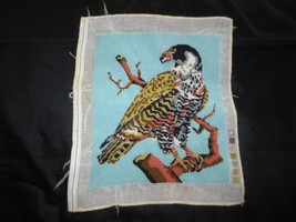 Completed Hawk Bird Of Prey Needlepoint Panel - 9-3/4&quot; X 11-1/2&quot; + Blank Borders - £16.23 GBP