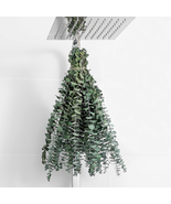 10 Pcs Dried Eucalyptus Stems 17&quot; Real Eucalyptus for Shower Hanging 100... - $268.28 MXN