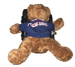 Aeropostale Teddy Bear with zip up sweatshirt. - £10.13 GBP