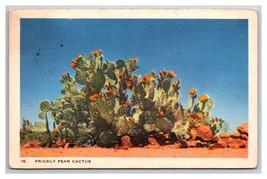 Prickly Pear Cactus  Linen Postcard N25 - £1.50 GBP