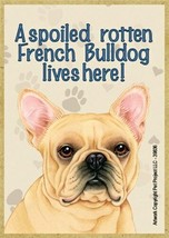 A spoiled rotten French Bulldog lives here! Fridge Dog Magnet 2.5X3.5 NE... - $4.99