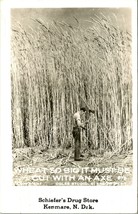 RPPC Exaggeration &quot;Wheat So Big&quot; Schiefer&#39;s Drug Store Kenmare ND Postcard C10 - £13.06 GBP