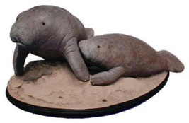 MANATEE and Calf 11 x 6 inch sculpture - £73.35 GBP