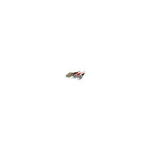 Belkin F2F402L0-02M BELKIN - NETWORK CABLE - LC MULTI-MODE (M) - SC MULT... - $41.71