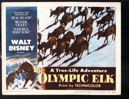 Olympic Elk 11x14 Lobby Card #3 Winston Hibler Documentary Walt Disney - $38.80