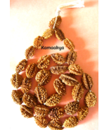 2 TWO MUKHI RUDRAKSHA MALA ARDHNARISHWAR SIDDHA MALA 54+1 RUDRAKSHA JAPA... - $23.75