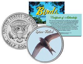 SPINE-TAILED *Collectible Birds* JFK Half Dollar Colorized US Coin PAPUA... - £6.73 GBP
