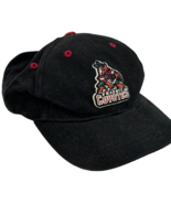 Phoenix Coyotes Official NHL Kids Hat Black Adjustable - EUC - $7.32