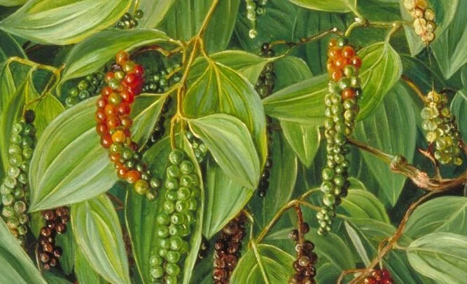 Item image 1 image 1